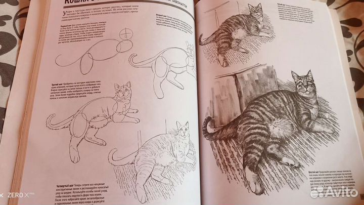 Книга Основы рисования