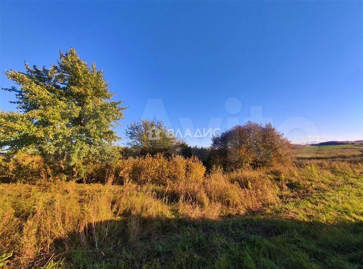 Участок 19,7 сот. (личное подсобное хозяйство (лпх))