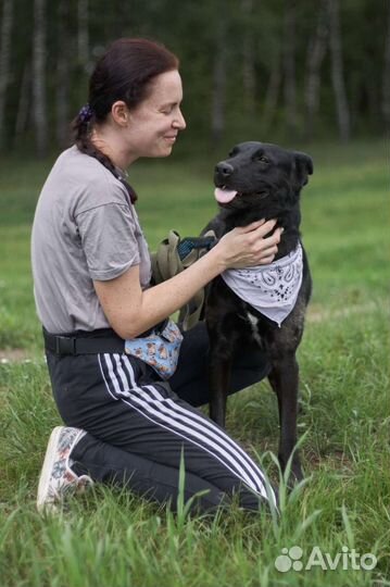 Красавец Лео