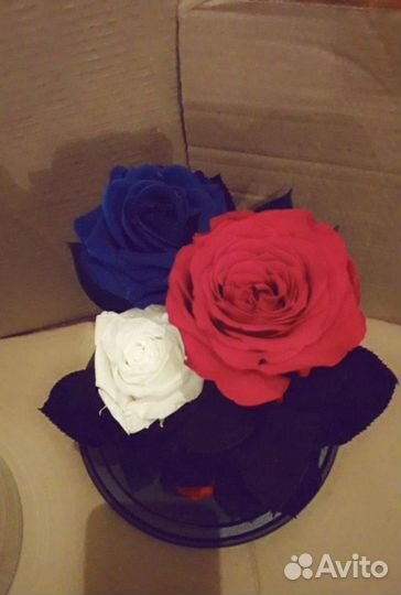 Роза в колбе