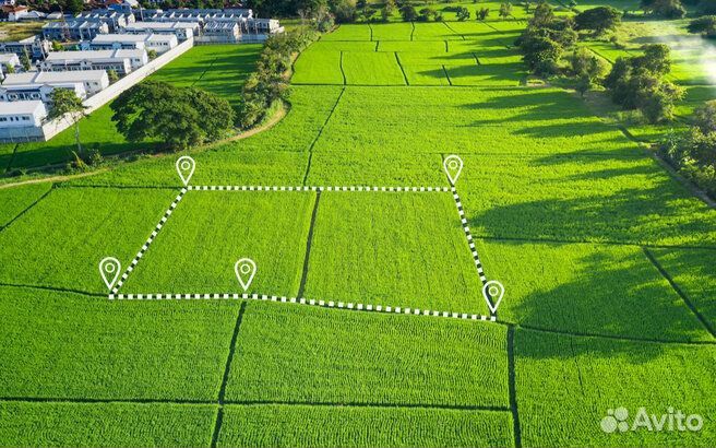 Оформление земли от государства: профессиональная