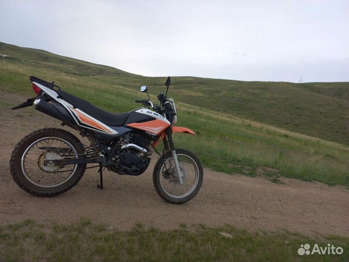 Racer panther 250