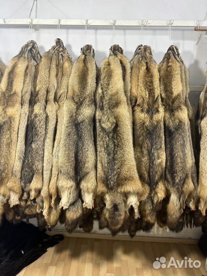 Шкуры волков