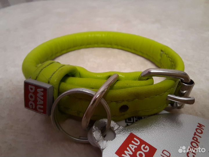 Ошейник для собак