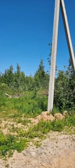 Участок 10 сот. (ИЖС)