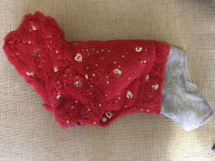 Одежда для маленькой собачки