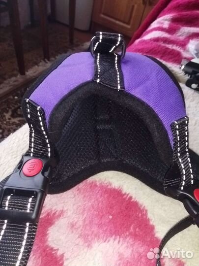 Шлейка для собаки