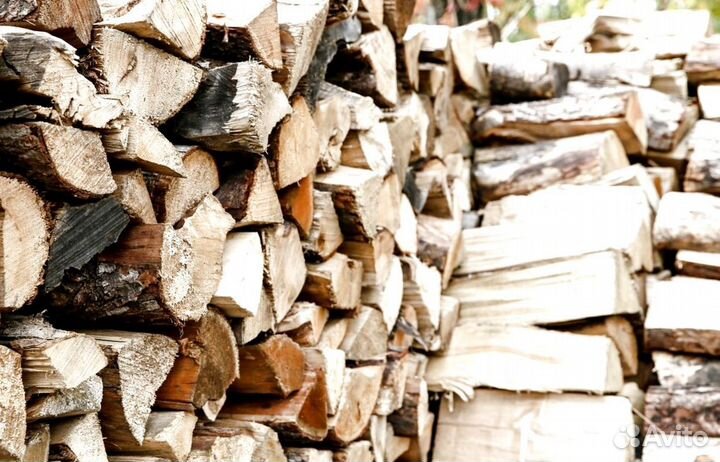 Дрова из Буратино