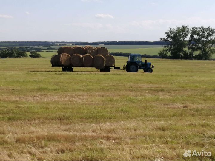 Трактор ЛТЗ Т-40M, 1989