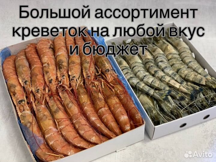 Тигровые креветки, лангустины - опт розница