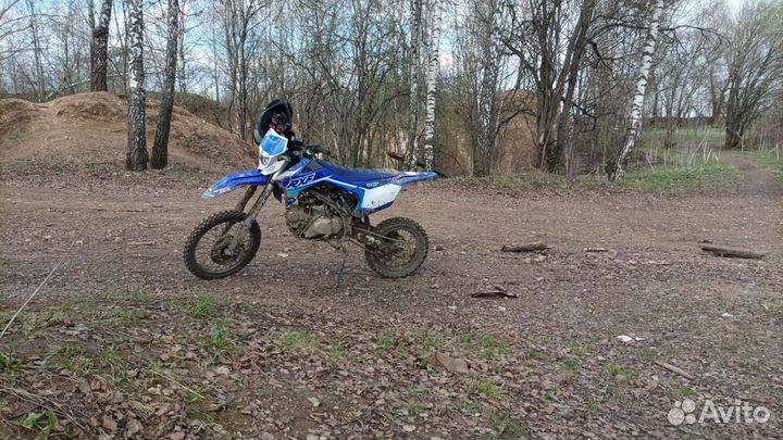 Apollo rxf freeride 125le. Торг уместен
