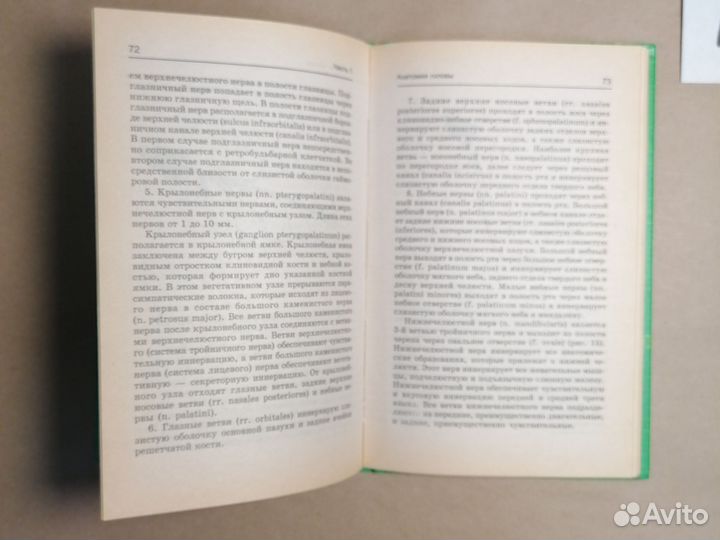 Хирургическая анатомия головы и шеи / Лойт А.А