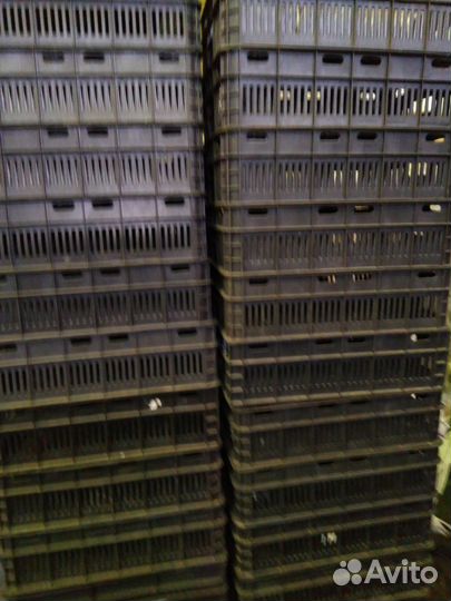 Продам ящики пластиковые для фруктов, овощей, гриб