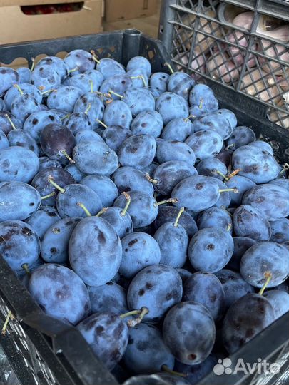 Чернослив на компот варенье