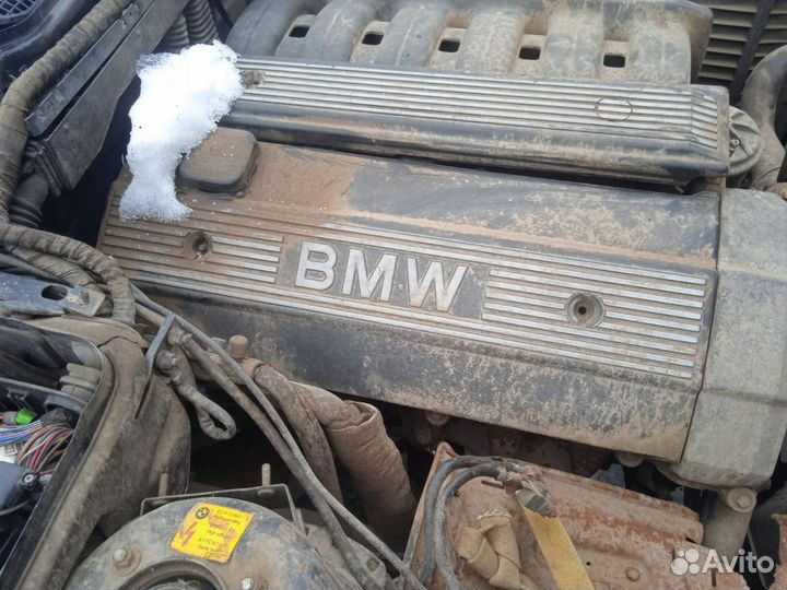 Двигатель M50