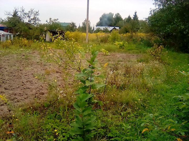 Участок 6 сот. (СНТ, ДНП)