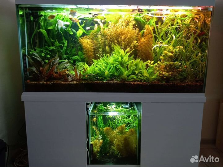 Аквариум 300 литров