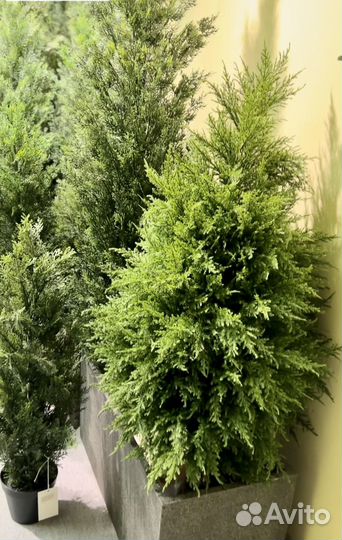 Искусственная Туя