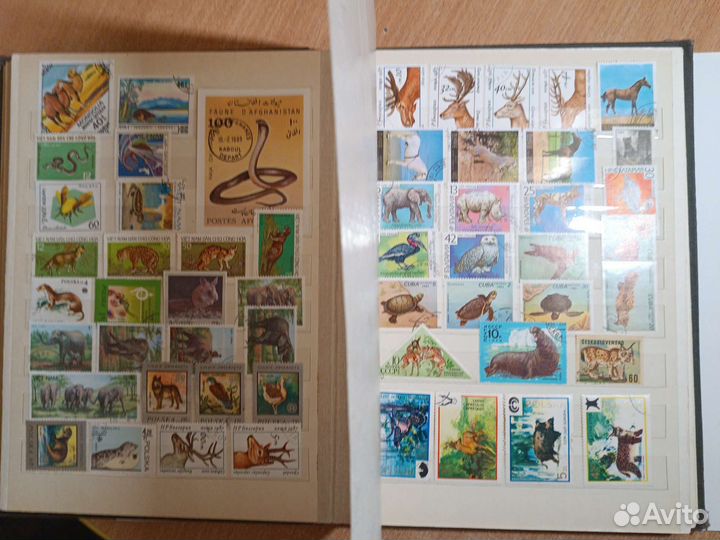 Кляссер марки фауна