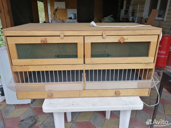 Брудер для цыплят