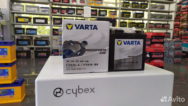 Аккумулятор Varta AGM 14Ah YTX16-BS powersports