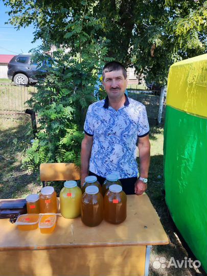 Продам пчелосемьи