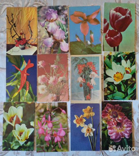 Открытки СССР цветы чистые много