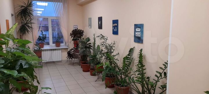 Офисы 44.2 м²+44,5 (37,6+6,9)