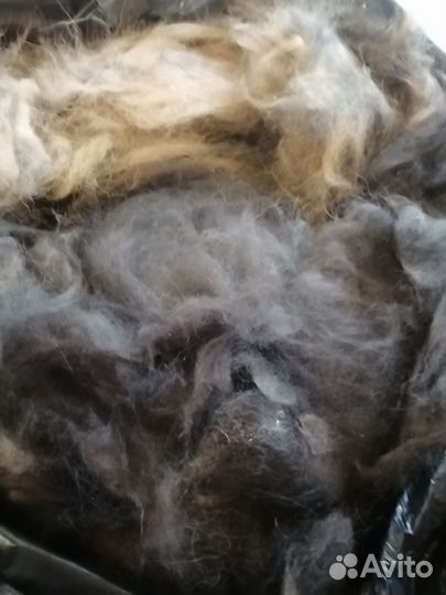 Собачья шерсть