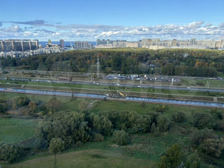 3-к. квартира, 79 м², 21/24 эт.