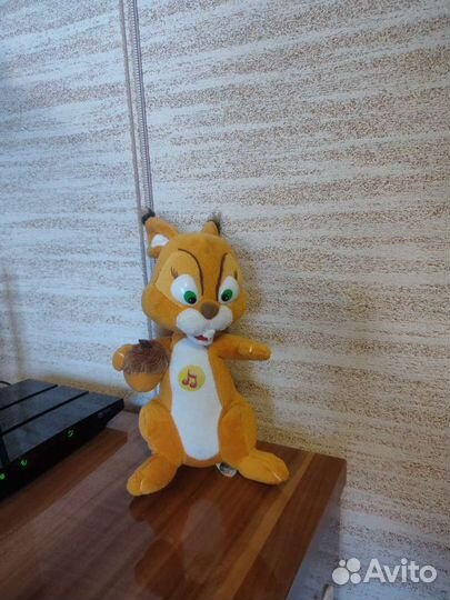 Белка с Маши