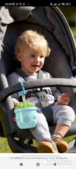 Fisher price кактусик