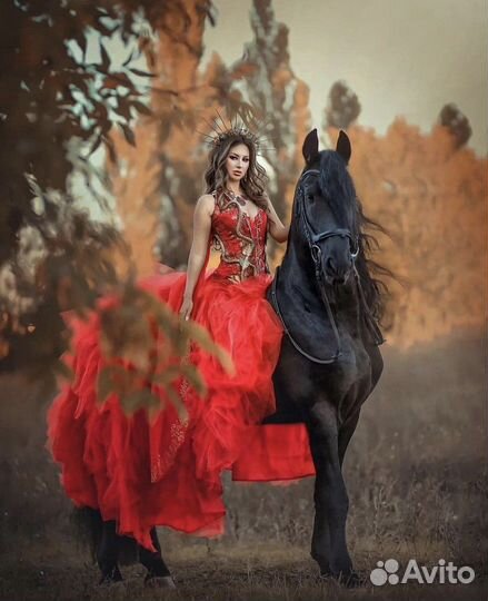 Фотосессии с лошадьми
