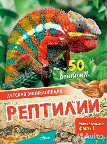 Энн макрей: рептилии