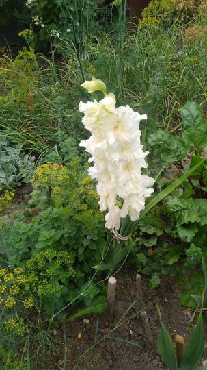 Дача 20 м² на участке 12 сот.