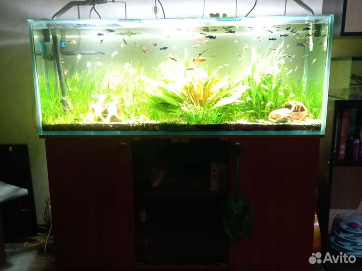 Аквариум