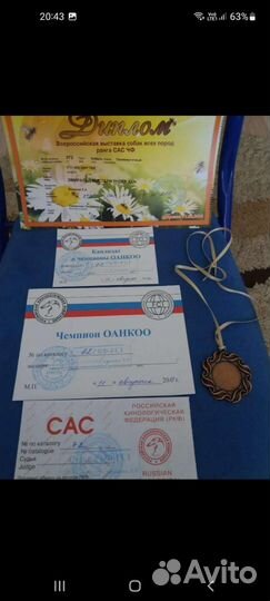 Шарпей вязка