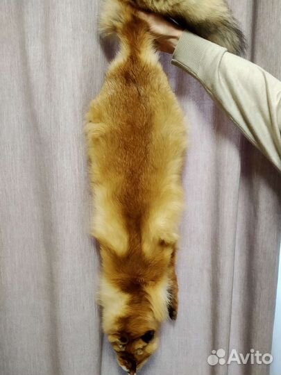 Шкура рыжей лисы