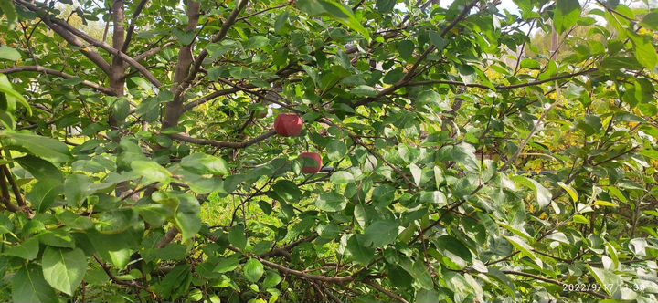 Дача 60 м² на участке 6 сот.