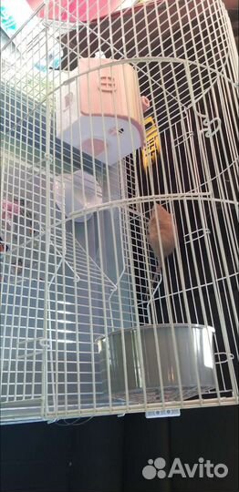 Клетка для грызунов