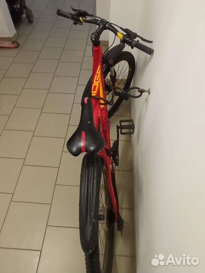 Велосипед Welt Ridge 1.0 HD 29 (2023) 2023