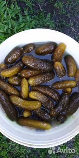 Огурцы соленые бочковые