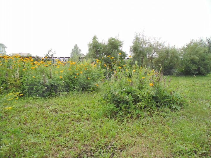 Дача 56 м² на участке 5 сот.