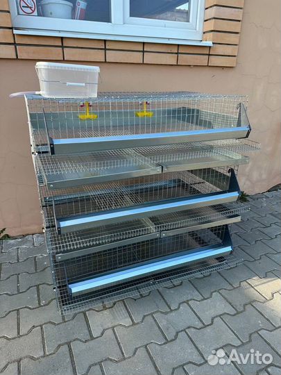 Клетки для перепелов на 150 голов