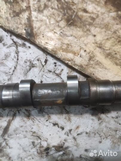 Распредвал днепр мт10-36