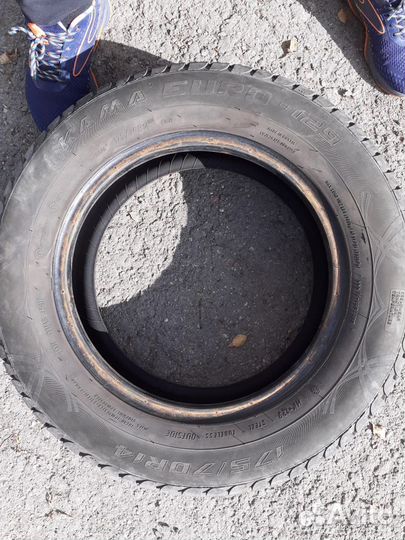 КАМА Кама-Евро-129 175/70 R14