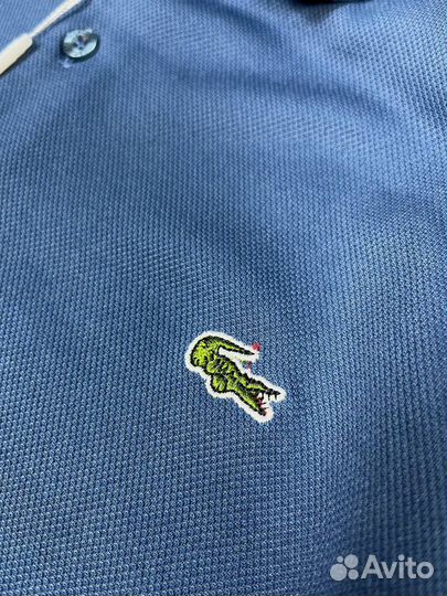 Polo lacoste мужское