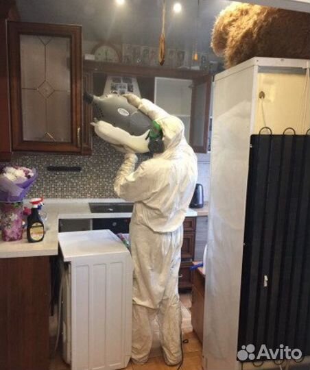 Уничтожение тараканов,клопов уничтожение насекомых