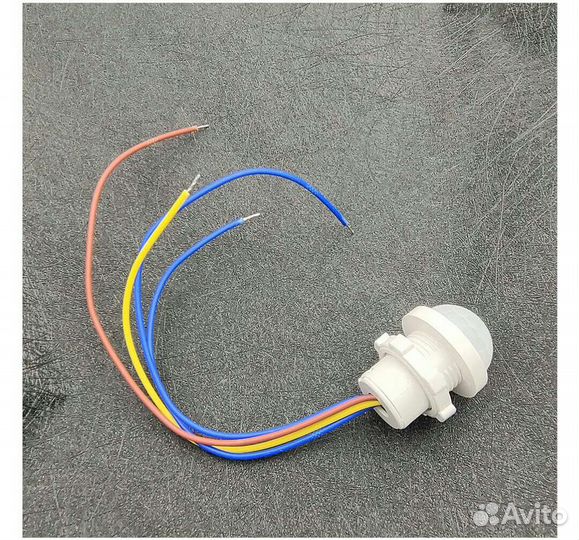 Датчик движения. Зеленоград