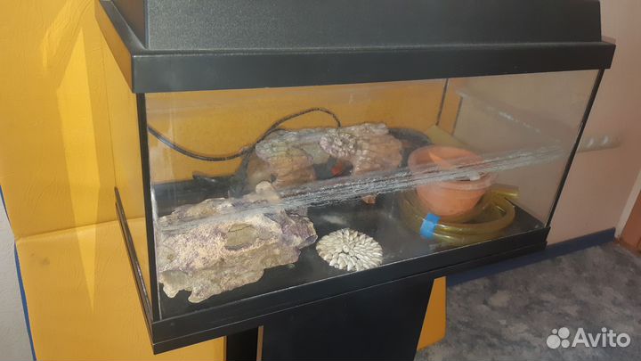 Аквариум с тумбой Juwel 60